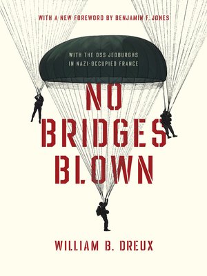 cover image of No Bridges Blown